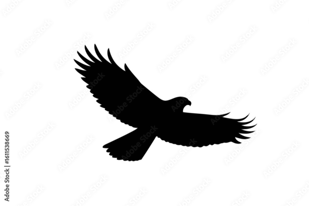 Obraz premium Soaring Hawk Silhouette bird flying