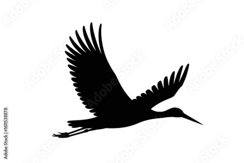 White stork in flight bird flying