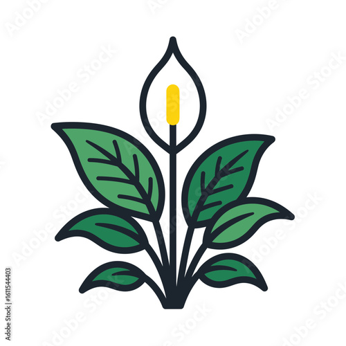 Stylized peace lily illustration with black outlines and green leaves, concept for botanical logo, interior decoration and wedding invitation elements