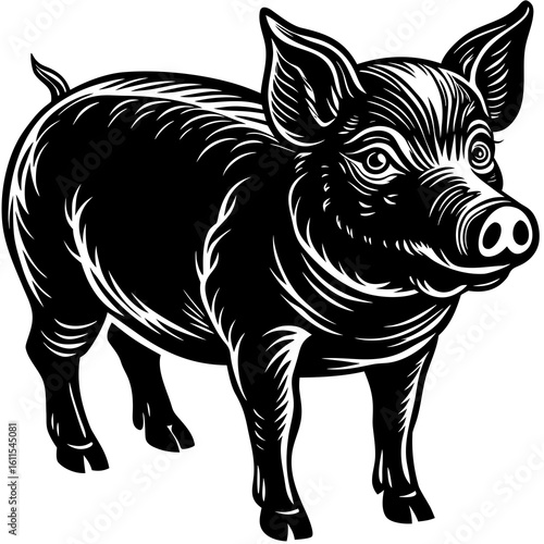 Cute Pink Pig on Farm Field Domestic Animal Livestock Photography