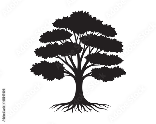 Silhouette of a Mighty Tree