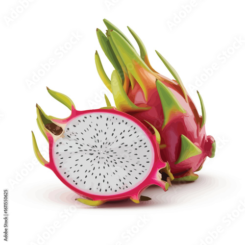 Dragon fruit illustration whole and sliced on white background