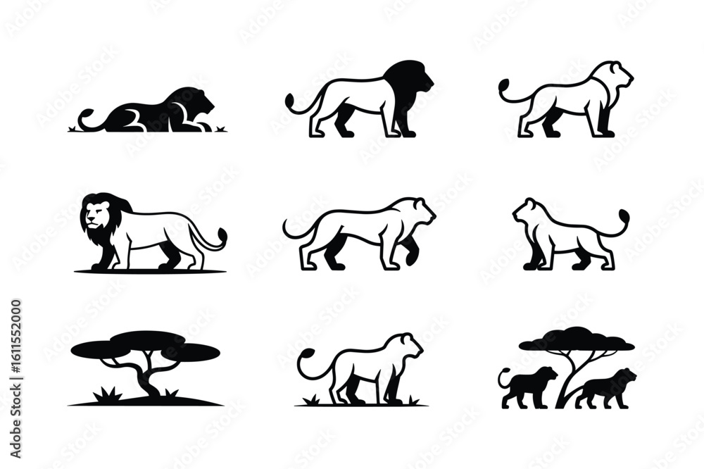 Fototapeta premium Majestic lions and acacia trees in silhouette lioness