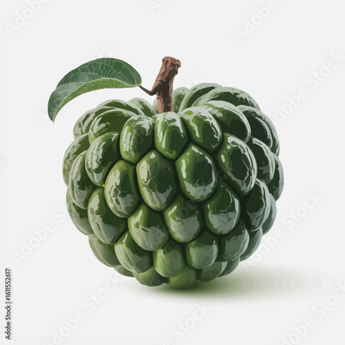 Green Custard Apple Illustration with Leaf and Brown Stem on White Background