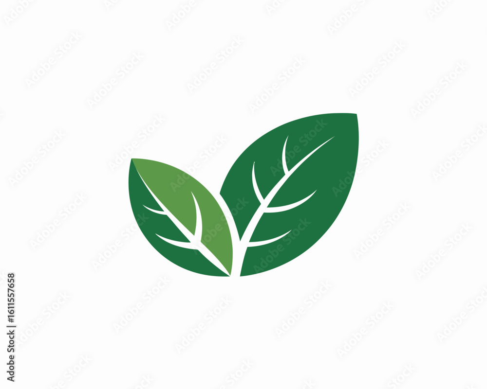 Obraz premium green plant isolated on white background