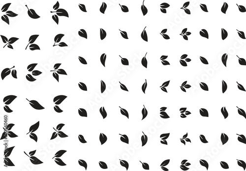 leaves and leaves in various shapes