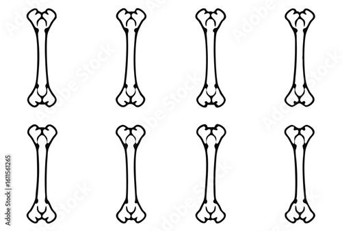 humerus upper arm line art muscle structure illustration