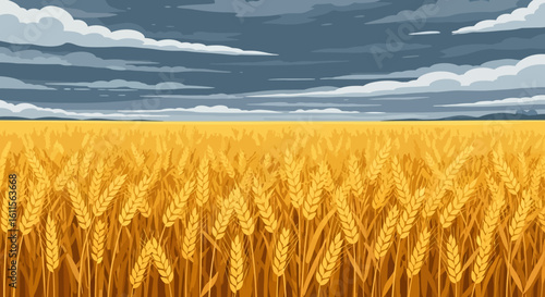 Golden wheat field stretches under a dramatic sky.