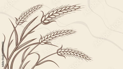 Illustration of wheat stalks with detailed grain heads on a beige background with subtle waves