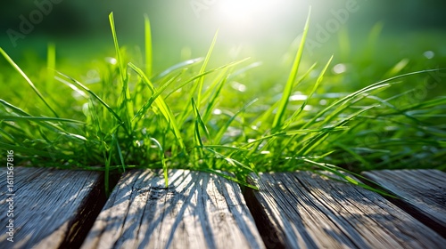 Fototapeta Naklejka Na Ścianę i Meble -  Close-up of vibrant green grass growing from a weathered wooden surface.