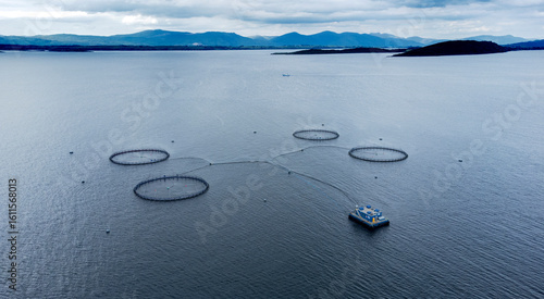 Aerial view of an Atlantic salmon fish farm off the coast of Argyll and Bute at Loch Linnhe Scotland UK