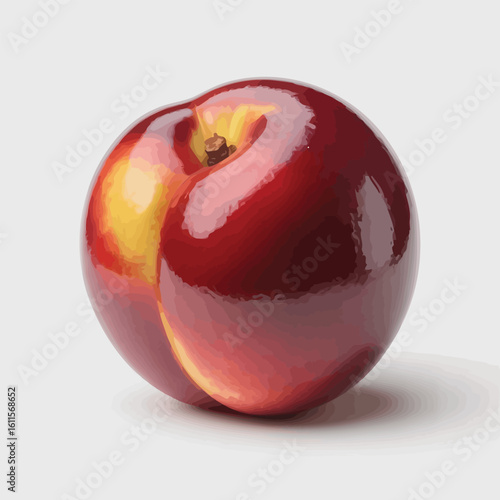 Vector illustration of a ripe nectarine fruit on a white background