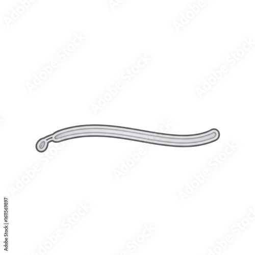 Wavy line 3d design element