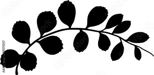 Simple Black Leaf Branch Silhouette" leaf silhouette