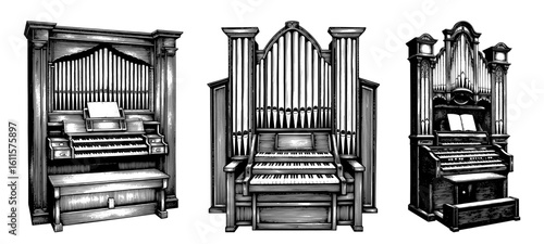 Classical pipe organs in a detailed black and white engraving style