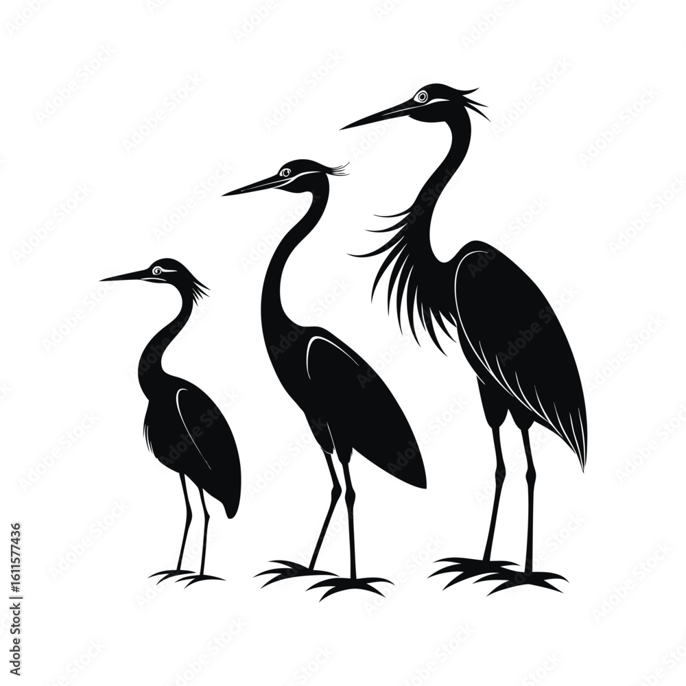 Fototapeta premium Elegant Wading Heron Birds in Stylized Vector Silhouette Art