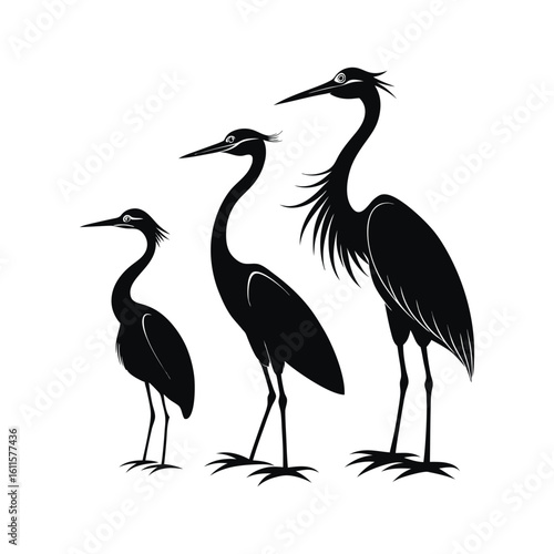 Elegant Wading Heron Birds in Stylized Vector Silhouette Art