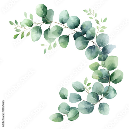 Watercolor hand-painted spring foliage frame with eucalyptus leaves painting illustration isolated on a white background, stinging nettle leaf illustration, AI painting design