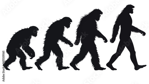 Evolution of ape to modern human silhouette illustration on white background
