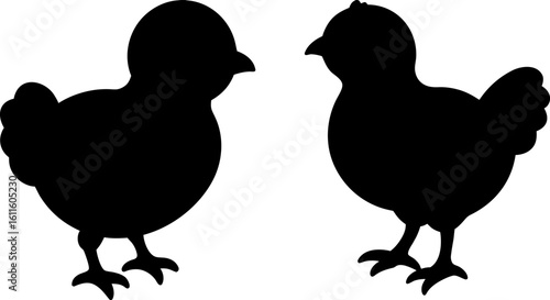 Black chicks set, Set of chicks, chicks collection, Vector of baby chicks animal, baby chicks silhouette, black baby chicks isolated on white background