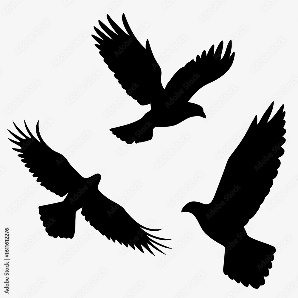 Obraz premium eagle vector illustration