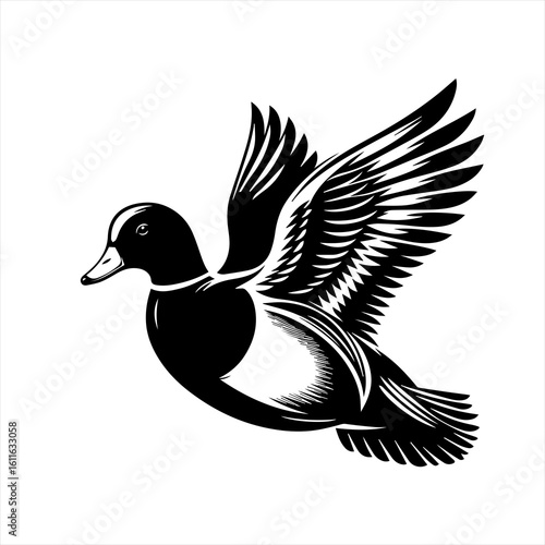 Flying duck illustration