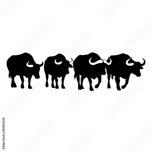 Four silhouetted water buffalo walking in a line.