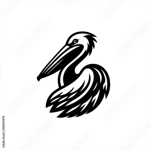 Pelican with large beak