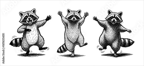 Three anthropomorphic raccoons are depicted in a playful, energetic dance, each with a unique pose and expressive face.