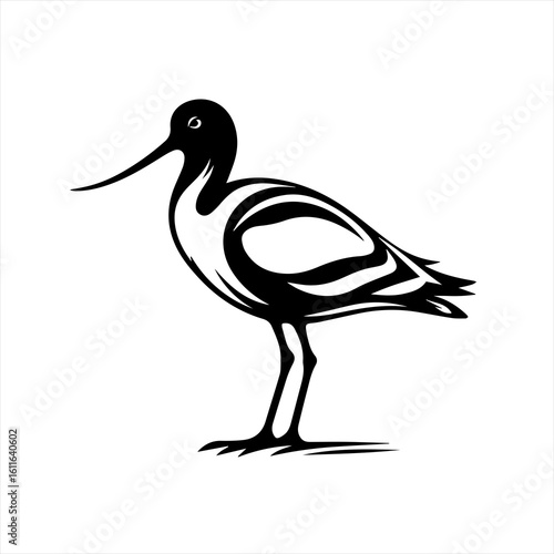 Bird illustration on white background
