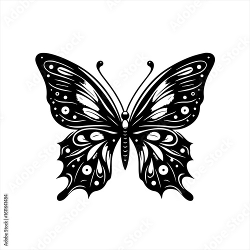 Ornate butterfly with detailed wings