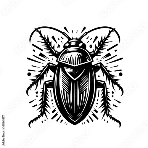 Detailed illustration of a beetle