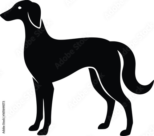 Saluki dog silhouette in elegant standing pose vector graphic for graceful hunting breed illustration