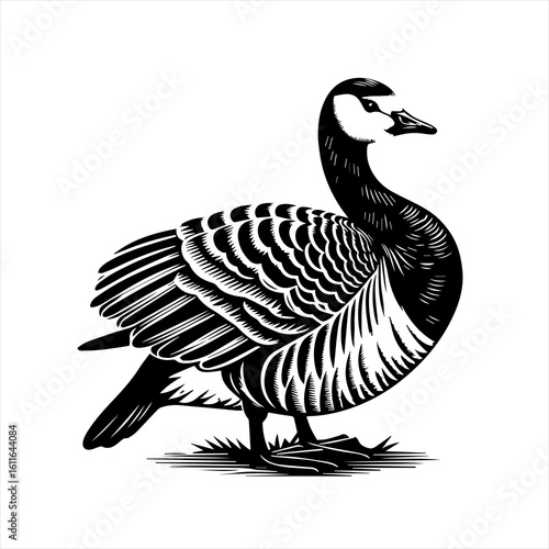 Goose standing with detailed feathers