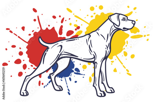 Abstract Dog Color Burst