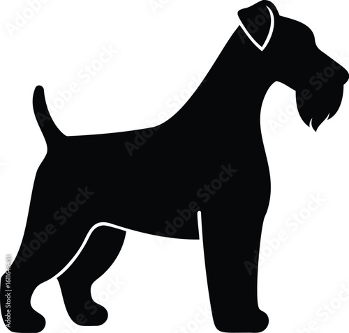 Welsh Terrier dog silhouette with upright tail and beard vector graphic for companion breed artwork