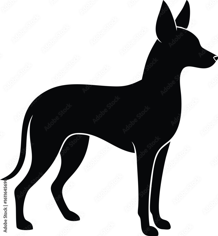 Obraz premium Xoloitzcuintli dog silhouette in sleek standing pose vector graphic for ancient Mexican breed artwork
