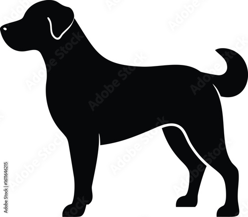 Barbet dog silhouette standing with curly coat and tail vector graphic for French water breed design