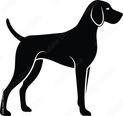 Bluetick Coonhound dog silhouette in alert stance with curved tail vector graphic for scent hound breed