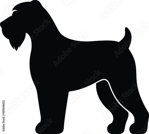 Bouvier des Flandres dog silhouette with bearded face and sturdy stance vector graphic for guard breed