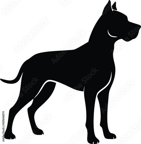 Dogo Argentino dog silhouette in powerful side stance with cropped ears vector graphic for guard breed