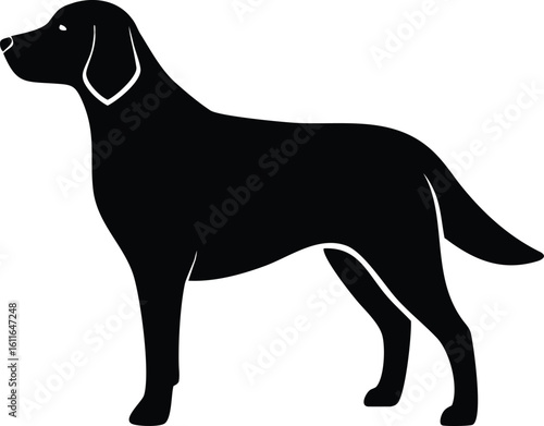 Flat-coated Retriever dog silhouette with feathered tail and sleek stance vector graphic for smart breed