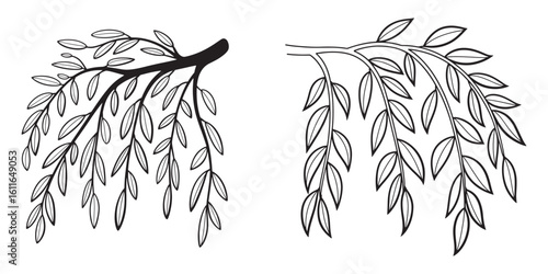 Elegant Outlines of Weeping Willow Branches Gracefully Draping in Artistic Black and White Depiction a Nature Inspired Composition
