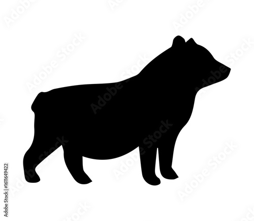 Silhouette of a Stocky Mammal Standing on a White Background	