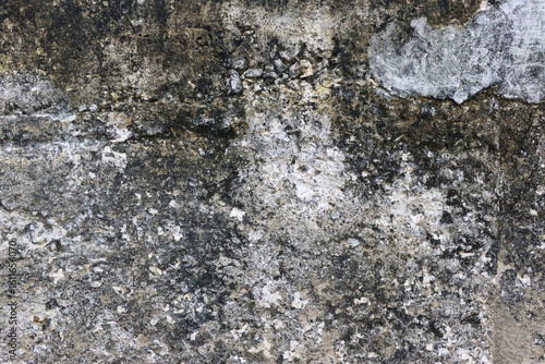Weathered concrete wall with mold and discoloration.