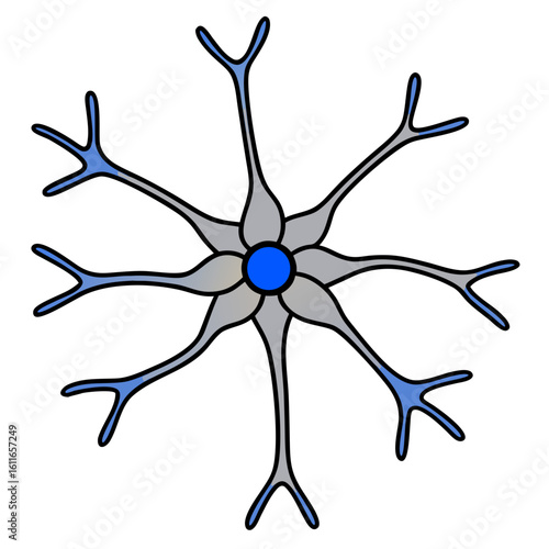 Schematic of a neuron with an axon in gray and blue with branches and a cell body 