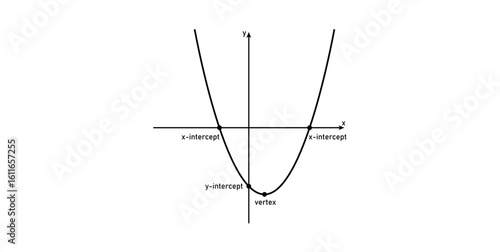 U-shaped Curve. Graph of a Quadratic Equation. The Intercepts and Vertex of a Parabola in Mathematics.
