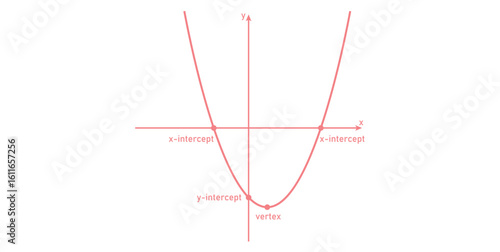 U-shaped Curve. Graph of a Quadratic Equation. The Intercepts and Vertex of a Parabola in Mathematics.