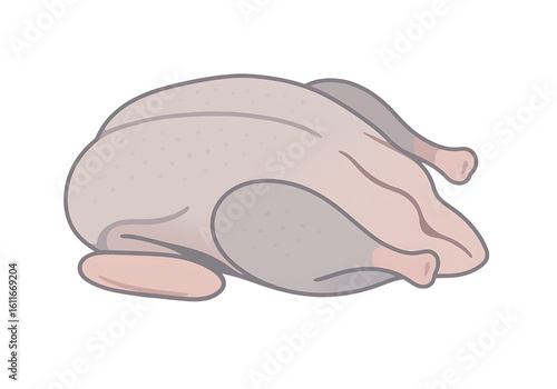 Whole Raw Chicken Uncooked Poultry Fresh Meat Isolated White Background