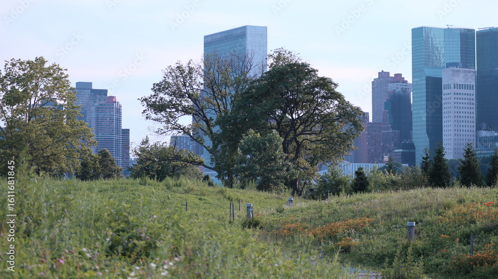 Fototapeta premium New York City Midtown Manhattan Skyline with Green Landscape Foreground